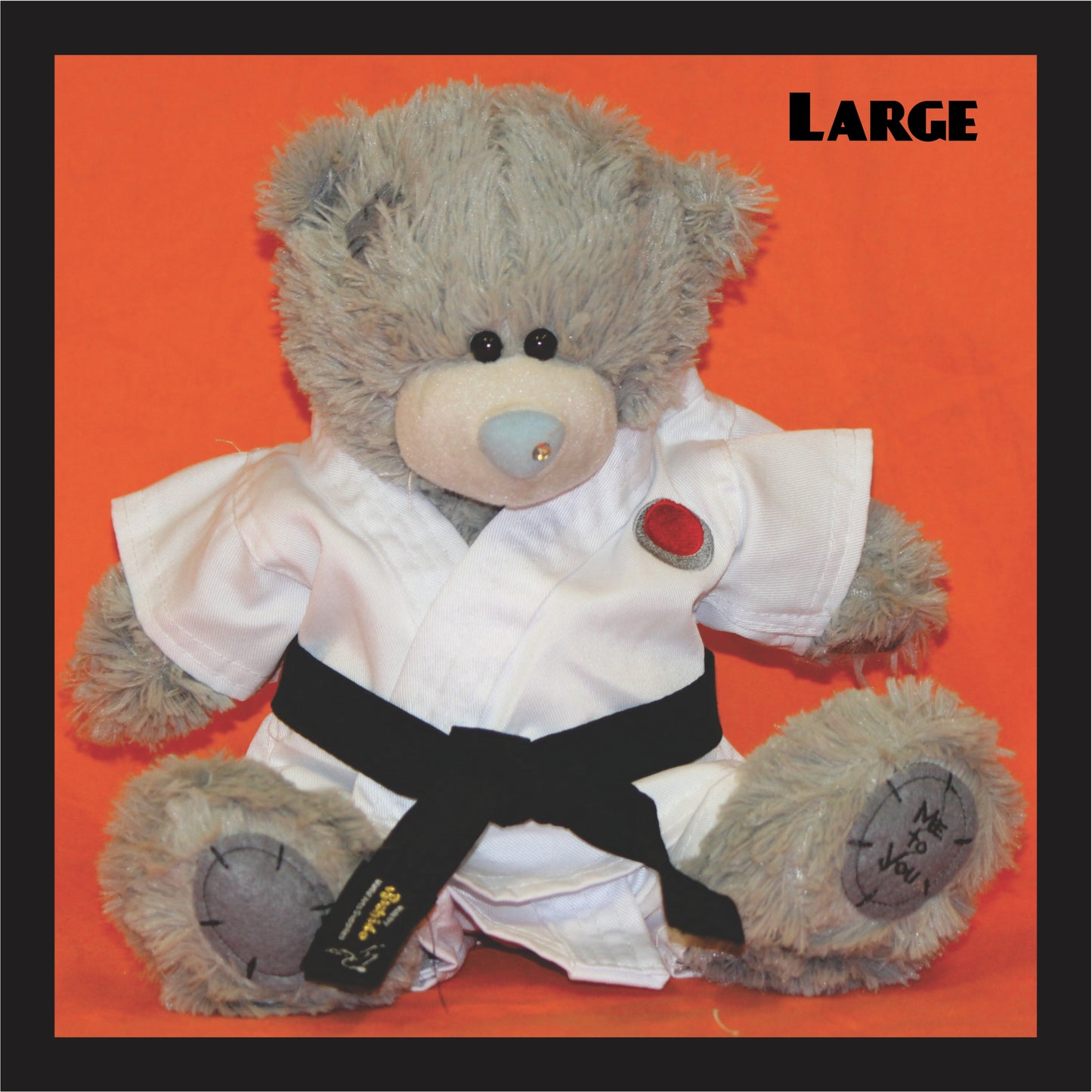 Karate Teddy