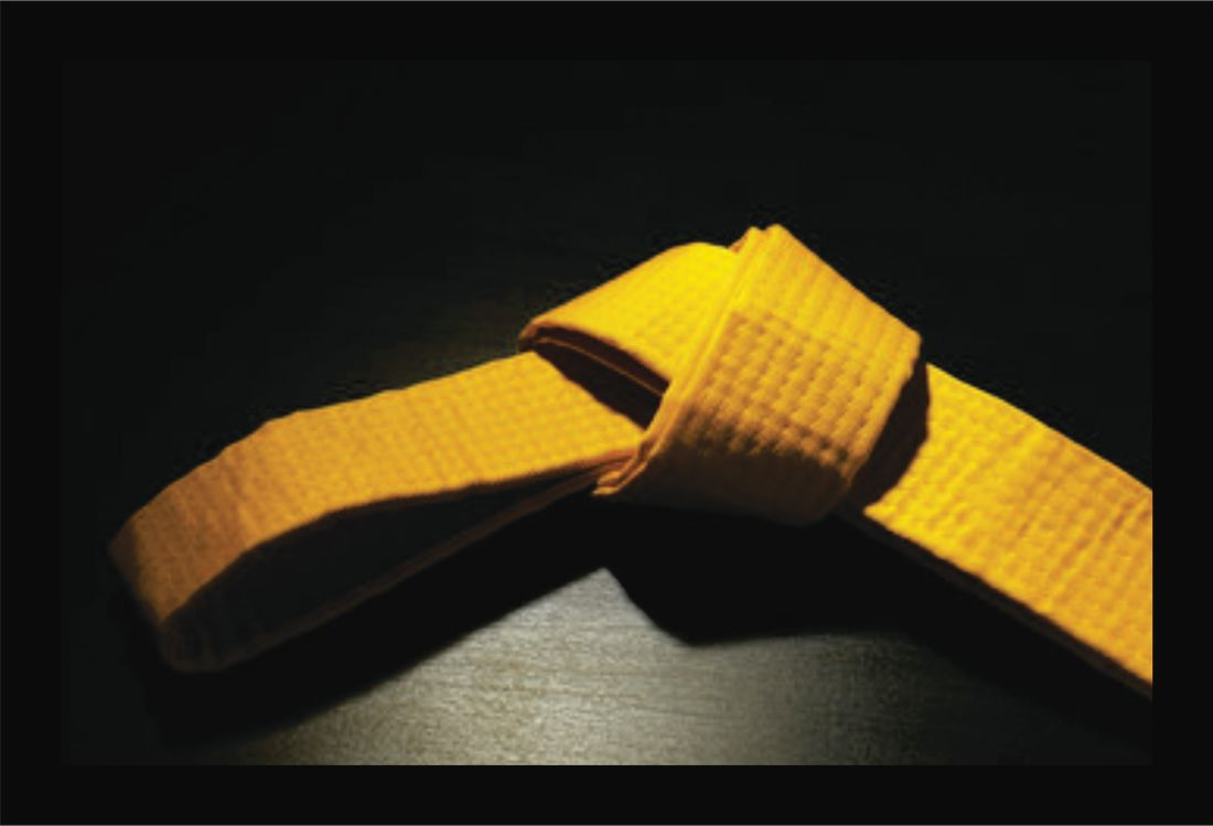 Yellow belt
