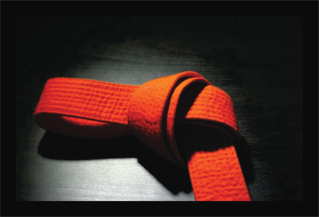 Orange belt