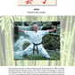 Karate Dictionary
